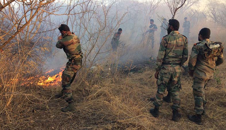 Udaipur forest fire