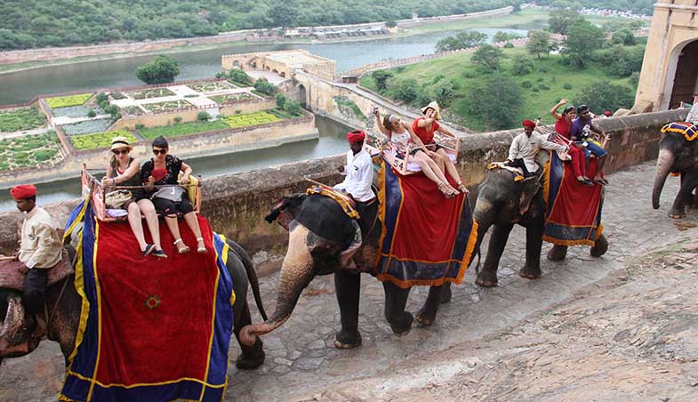 elephant ride jaipur main