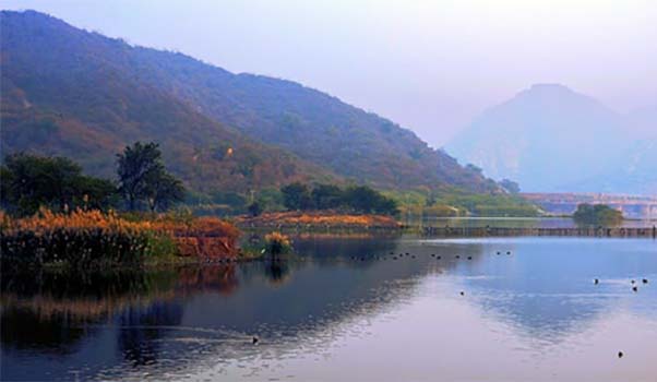 ramgarh lake near jaipur