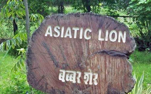 nahargarh zoological park timings