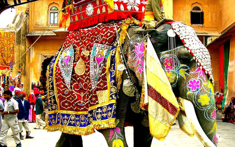 great indian travel bazaar jaipur